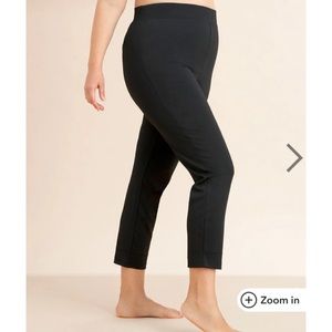 Empetua - Slim Leg Shaper Pant - 2X - NWOT